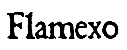 Flamexo - logo